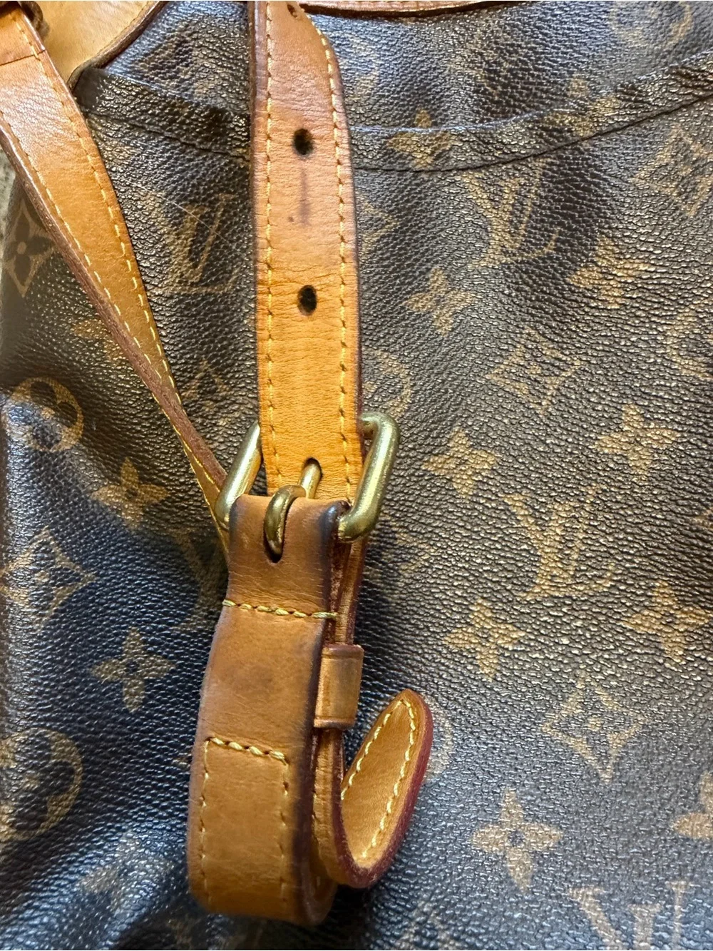 Louis Vuitton authentic louis